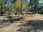 Land for Sale Pamunugama