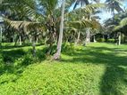 Land for Sale Pamunugama