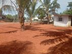Land For Sale Panadura (500m to Galle road)