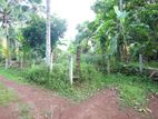 Land for Sale Panadura (bekkegama Rd)