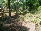 Land for Sale Panadura City - ( UC limit)