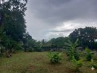Land for Sale Panadura - Dharmarama Rd (පර්චස් 7)