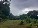 Land for Sale Panadura - Dharmarama Rd (පර්චස් 7)