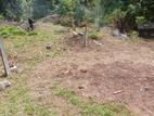 Land For Sale Panadura