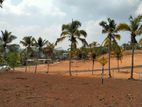 land for sale panadura