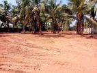 Land for Sale Panadura