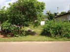 Land for Sale Panadura