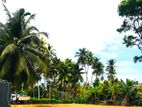 Land for Sale Panadura