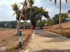 Land for Sale Panadura