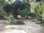 Land for Sale Panadura