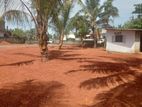 Land for Sale - Panadura