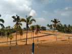 Land for Sale Panadura