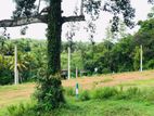 Land for Sale Panadura