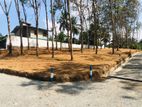 Land for Sale Panadura