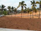 Land for Sale Panadura