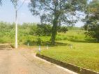 Land for Sale Panadura