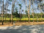 Land for Sale Panadura