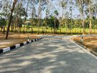 land for sale panadura