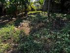 Land For Sale Panadura