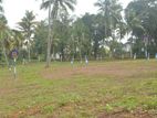 Land for Sale Panadura