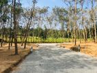 Land for Sale Panadura