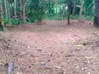 Land for Sale Panadura