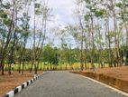Land for Sale Panadura