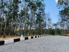 Land for Sale Panadura