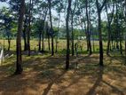 LAND FOR SALE PANADURA