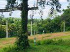 Land for Sale Panadura