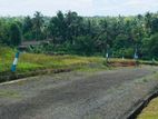 Land for Sale Panadura