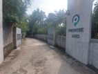 Land For Sale Panadura, Hirana M20