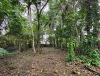 Land for Sale Panadura - Kuruppumulla