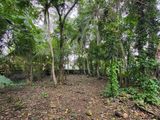 Land for Sale Panadura - Kuruppumulla