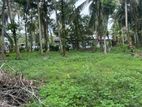 Land for Sale Panadura - Mahabellana