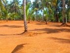 Land for Sale Panadura Nalluruwa