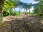 Land For Sale Panadura Only 100 meters Away From Horana Bus Rd