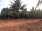 Land for Sale Panadura (පානදුර)