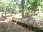 Land For Sale Panadura - Thanthirimulla