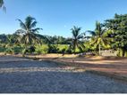 Land for Sale Panagoda