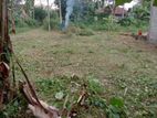 Land for Sale Panagoda