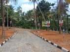 Land for Sale - Panagoda