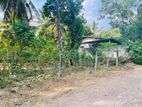 Land for Sale Panagoda, Lenagala. (ID : PNGD001)