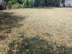 Land for Sale Panapitiya