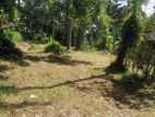 Land for Sale Pannala