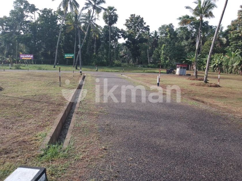 Land for Sale Pannala | ikman