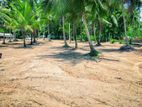 Land for Sale Pannala - Kurunegala