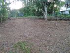 Land for Sale Pannipitiya 18 P