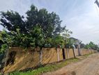 Land for Sale Pannipitiya