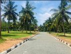 Land for Sale Pannipitiya